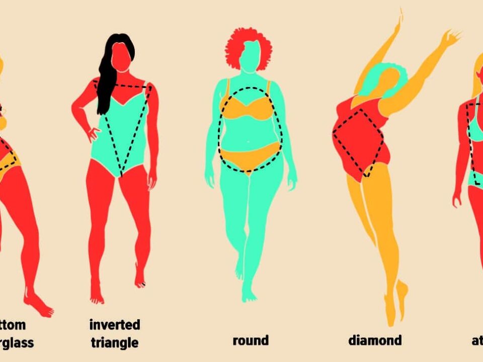 Body Shapes of Women