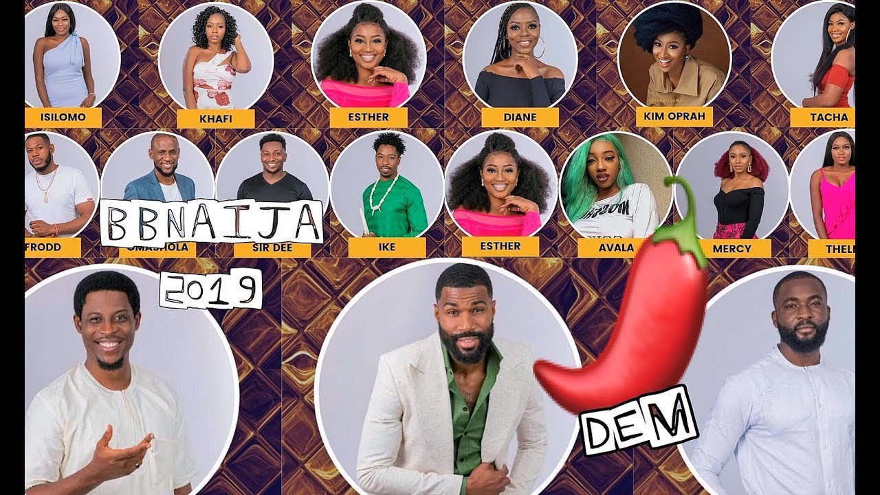 Bbnaija 2019 How To Vote For Your Favorite Housemate