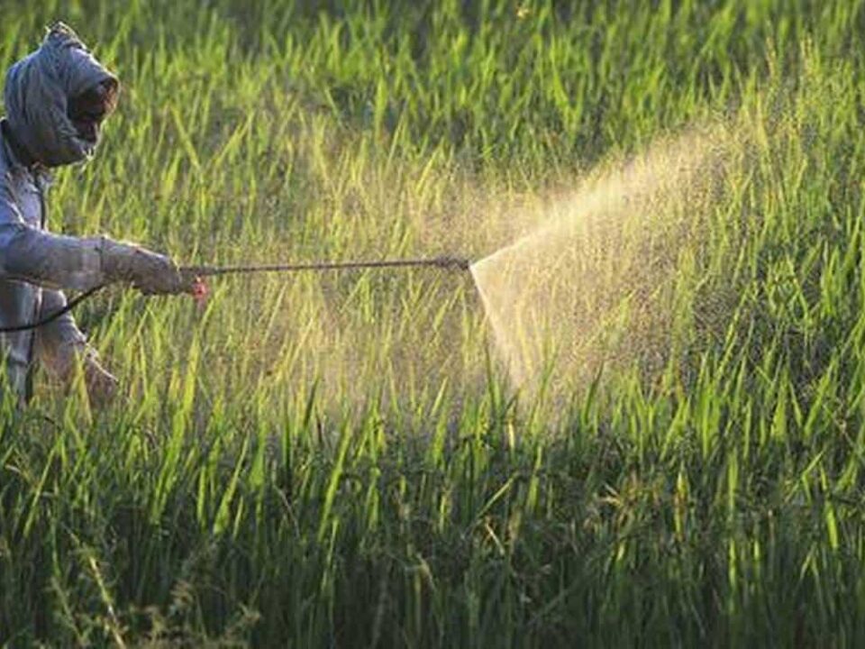 Insecticides