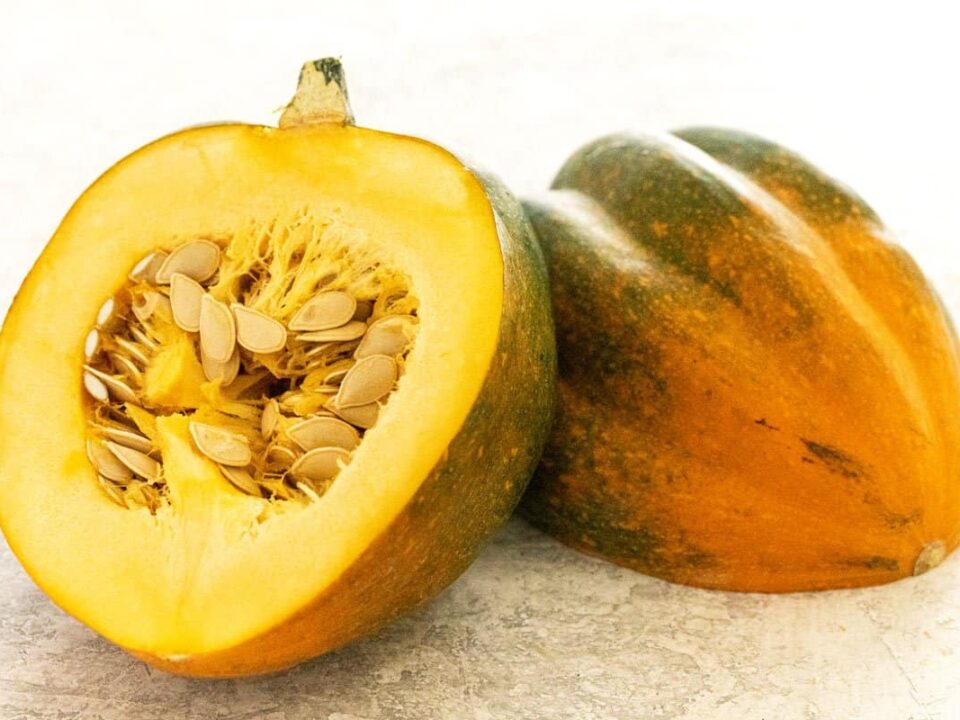 Different Types of Squash