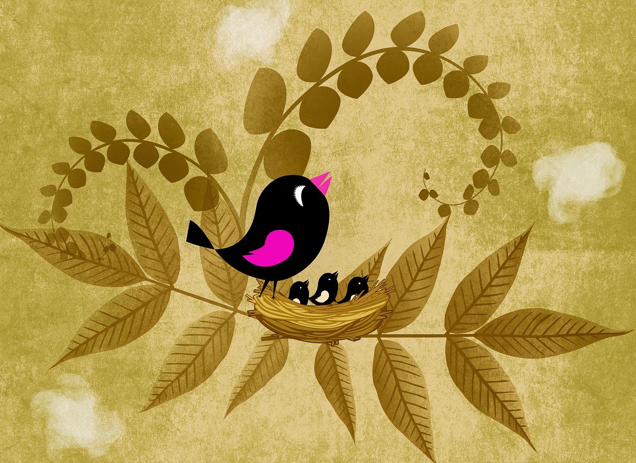 9 Different Types of Wallpapers