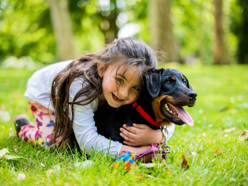 Best Dog Breeds for Kids