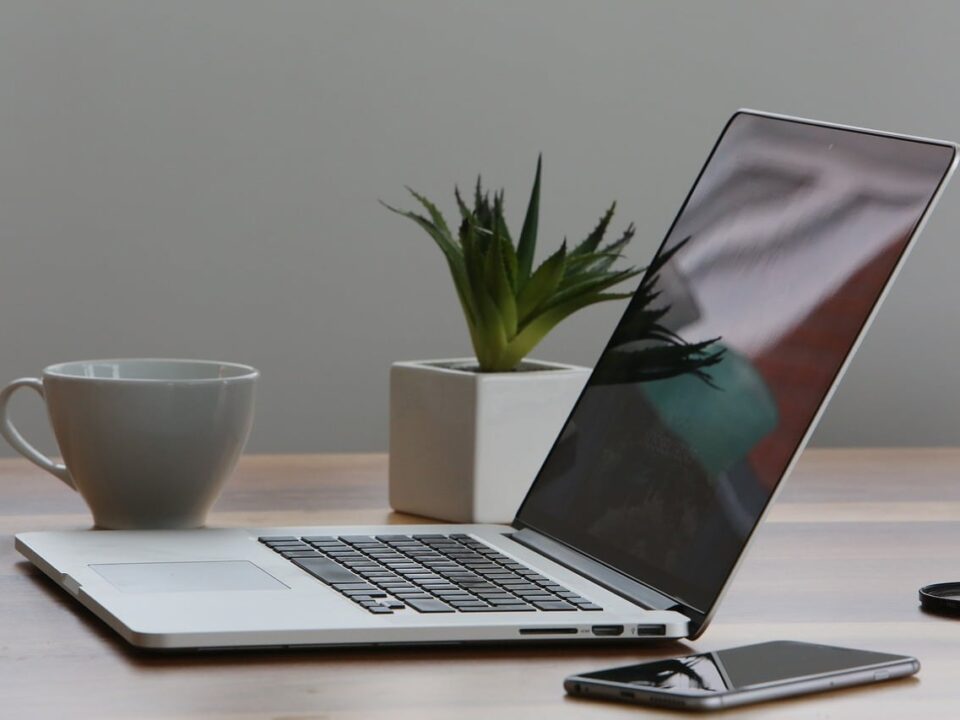 Best Plants for Office Space