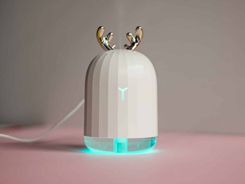 Cool Mist Vs Warm Mist Humidifier