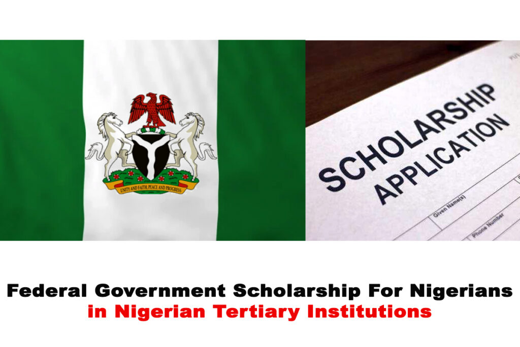 10 Scholarship Opportunities in Nigeria